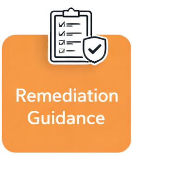 Remediation and Guidance
