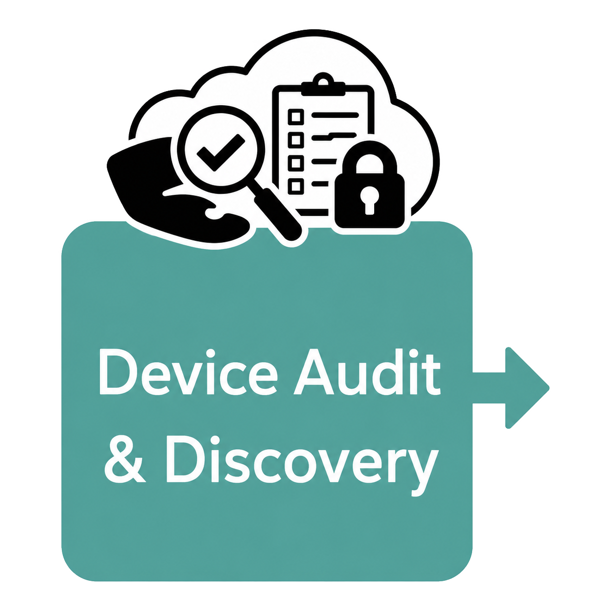 Hardware Audit And Discovery