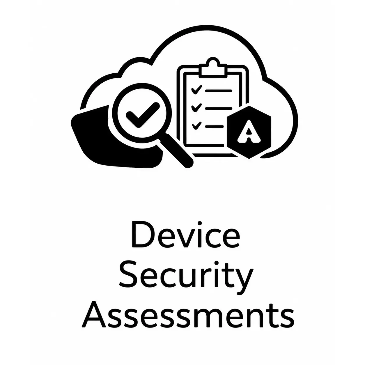 Hardware Security Assessments